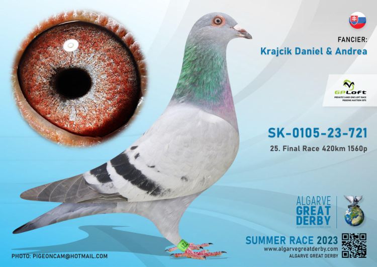 Pigeon Auction SK-23-0105-721, seller Krajcik Daniel & Andrea (25º