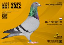 NL-1727991-21