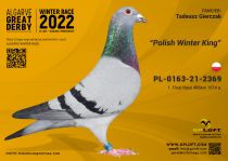 PL-0163-21-2369